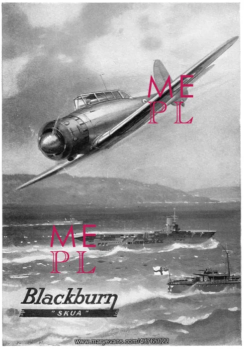  : Blackburn Skua
