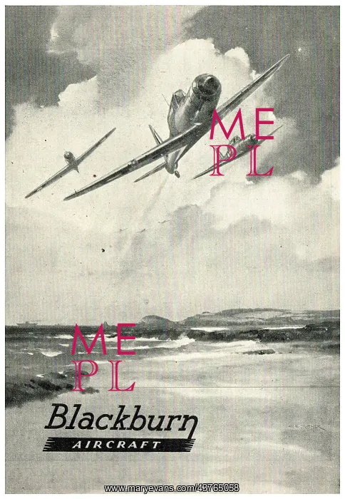  : Blackburn Skua