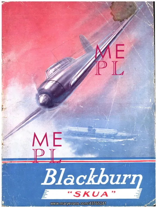 : Blackburn Skua : Blackburn Skua