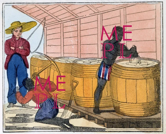 : The Blackman's Lament on how to make Sugar Artist: : The Blackman's Lament on how to make Sugar Artist: