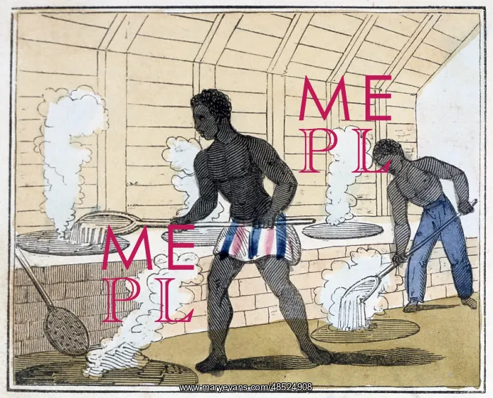 : The Blackman's Lament on how to make Sugar Artist: : The Blackman's Lament on how to make Sugar Artist: