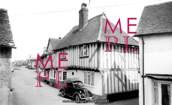  : Blackmore, the Bull c1955