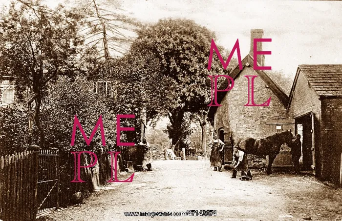  : Blacksmith, Alderley early 1900's