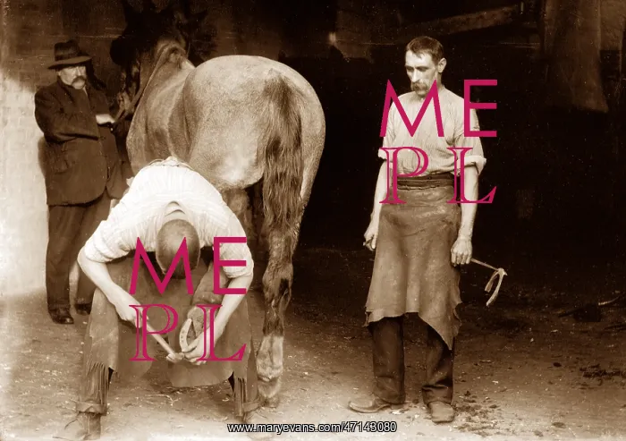  : Blacksmith, Beckenham early 1900's