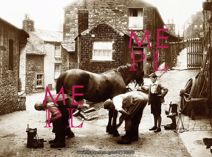  : Blacksmith, Settle, Edwardian period