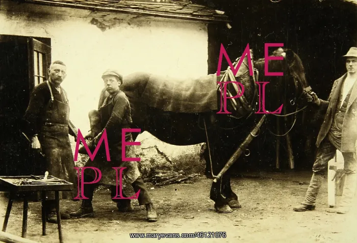 : Blacksmith in Vienna at work - About 1910 : Blacksmith in Vienna at work - About 1910
