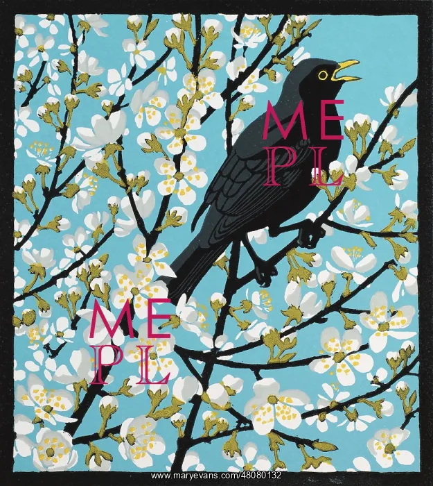 : Blackthorn Blackbird : Blackthorn Blackbird