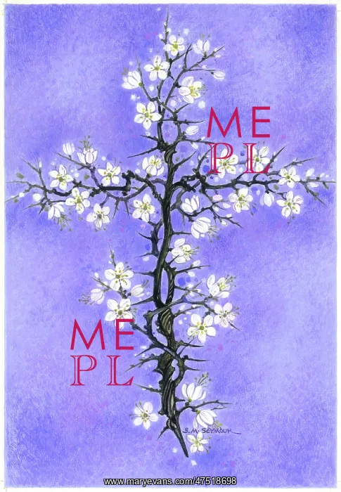  : Blackthorn Cross on a violet background
