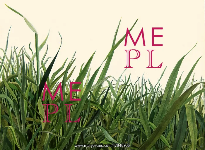 : Blades of Grass : Blades of Grass