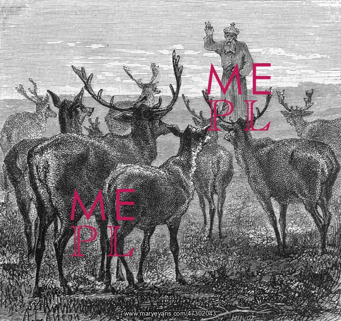 : Blaise Blesses Deer : Blaise Blesses Deer