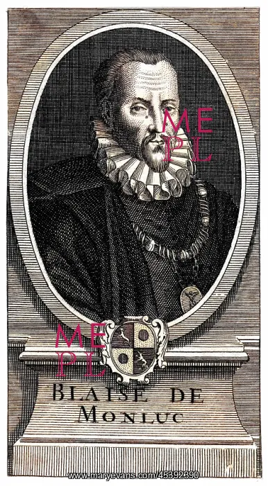 : BLAISE DE MONTLUC : BLAISE DE MONTLUC
