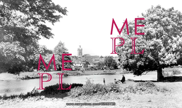  : Blandford Forum, from across the River Stour c1955