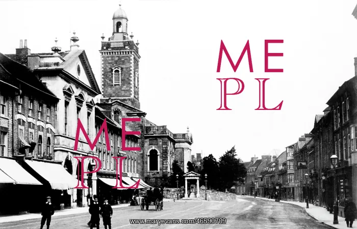  : Blandford Forum, the Town 1900