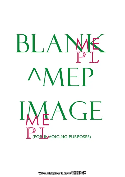  : Blank ^MEP record for invoicing purposes