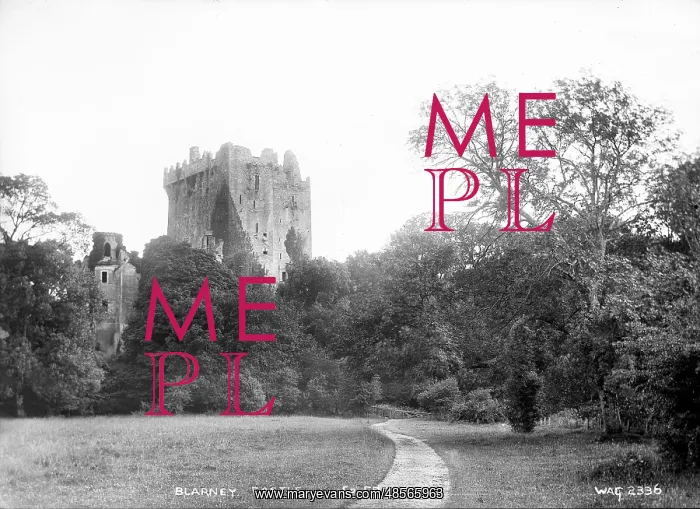 : Blarney Castle, Co. Cork : Blarney Castle, Co. Cork