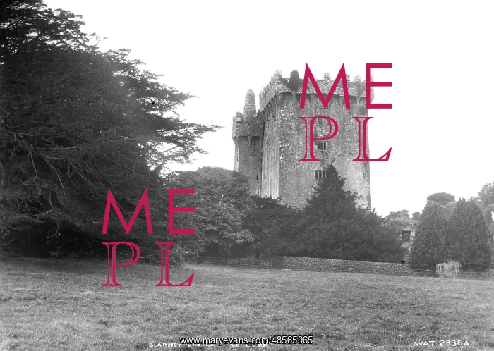 : Blarney Castle, Co. Cork : Blarney Castle, Co. Cork