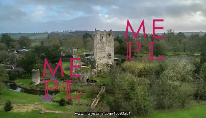 : Blarney Castle, County Cork, Ireland : Blarney Castle, County Cork, Ireland