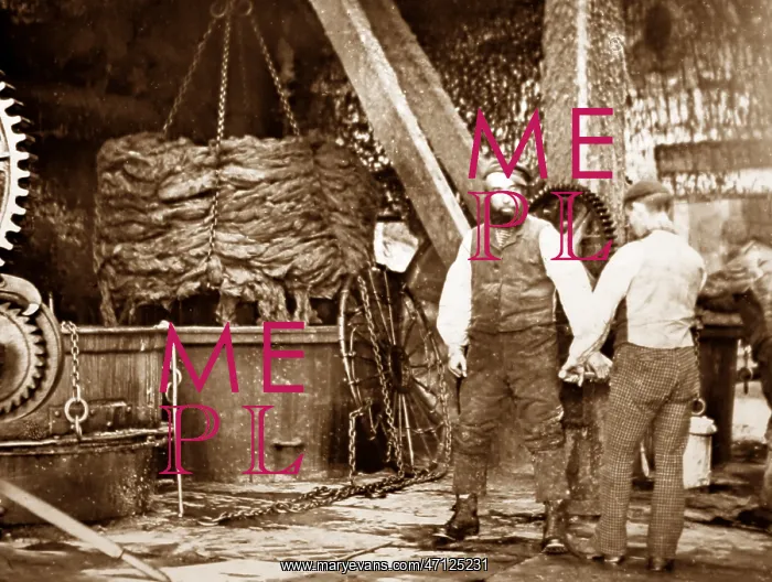  : Bleaching, linen production, Victorian period