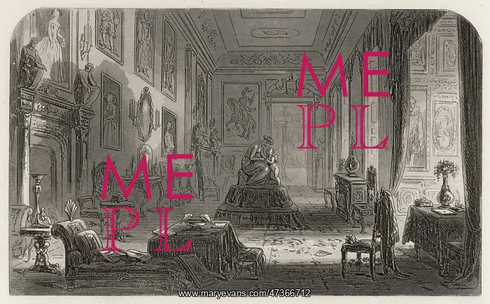 : Bleak House, long drawing room : Bleak House, long drawing room