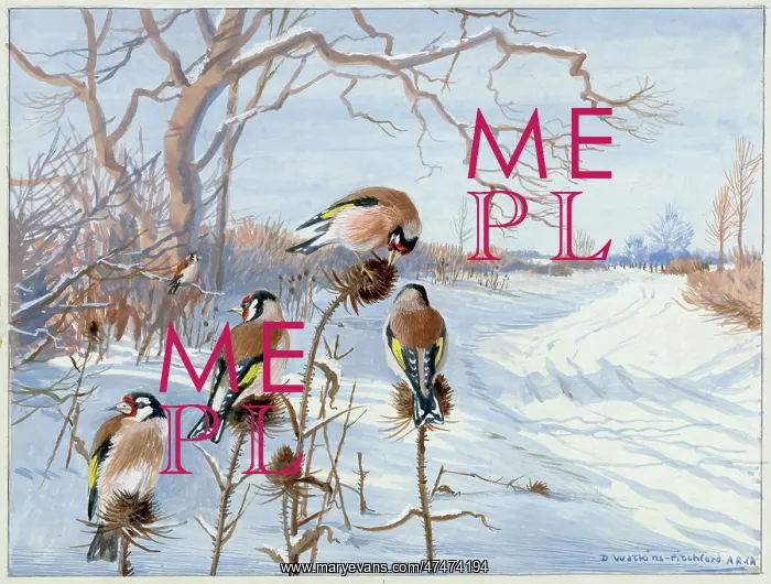  : In the Bleak Mid-winter