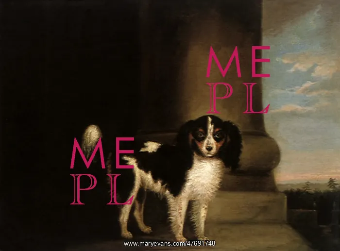 : Blenheim King Charles Spaniel in a Landscape : Blenheim King Charles Spaniel in a Landscape