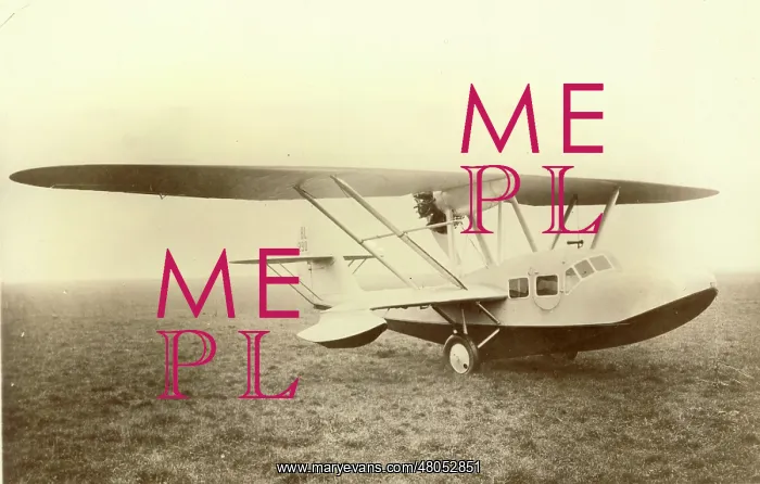 : Bleriot Bl-290 amphibian : Bleriot Bl-290 amphibian