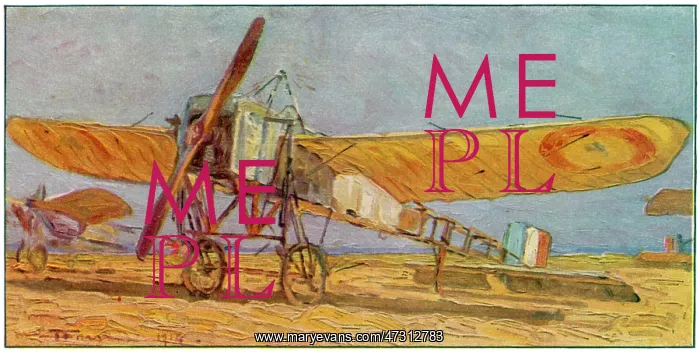 : Bleriot Monoplane : Bleriot Monoplane