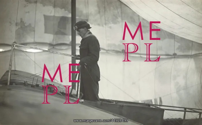 : Bleriot XI / 11 : Bleriot XI / 11