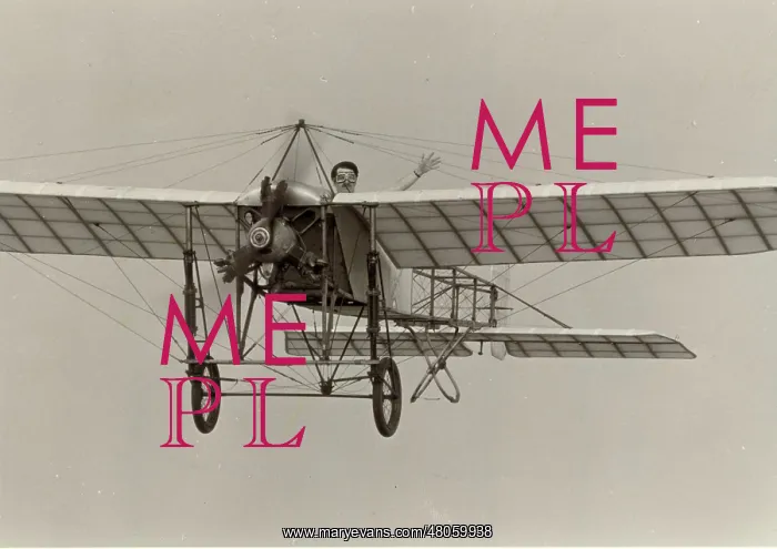 : Bleriot XI : Bleriot XI