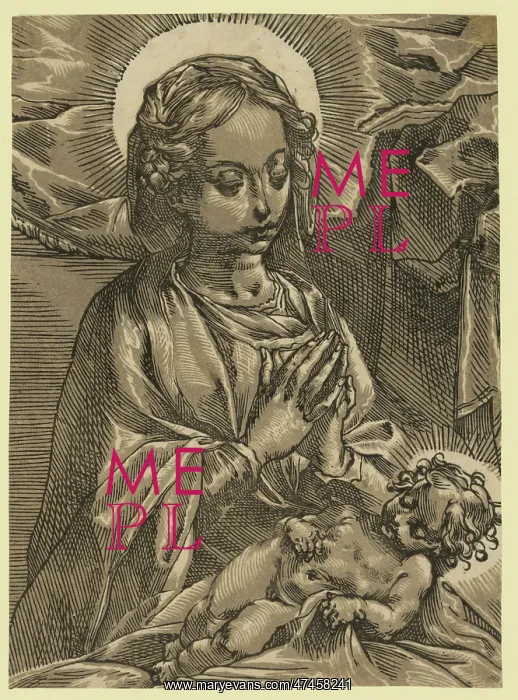 : The Blessed Virgin : The Blessed Virgin