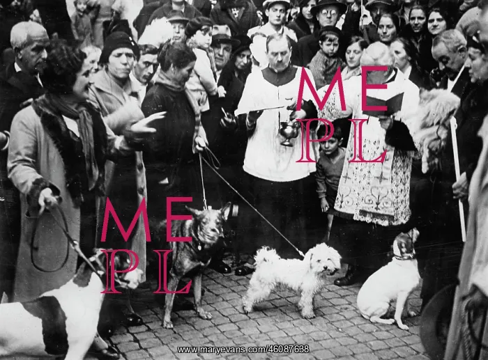 : Blessing of animals : Blessing of animals