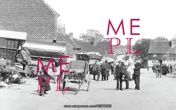  : Bletchingley, on Fair Day 1907