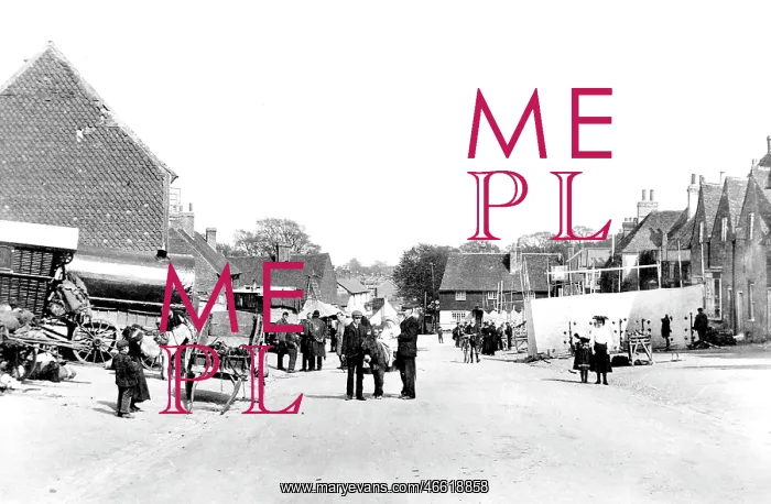  : Bletchingley, Fair Day 1907