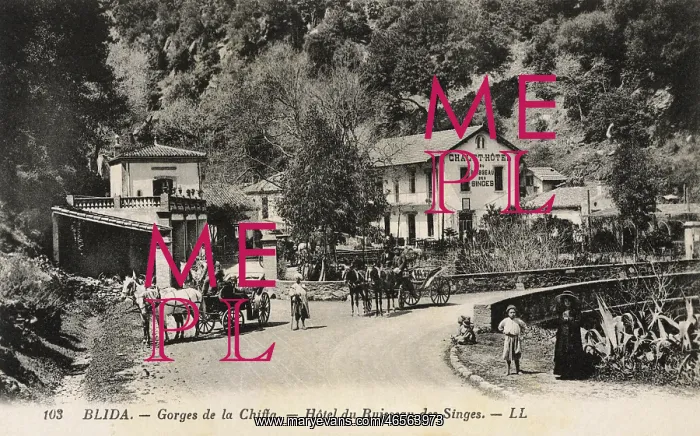 : Blida, Algeria : Blida, Algeria