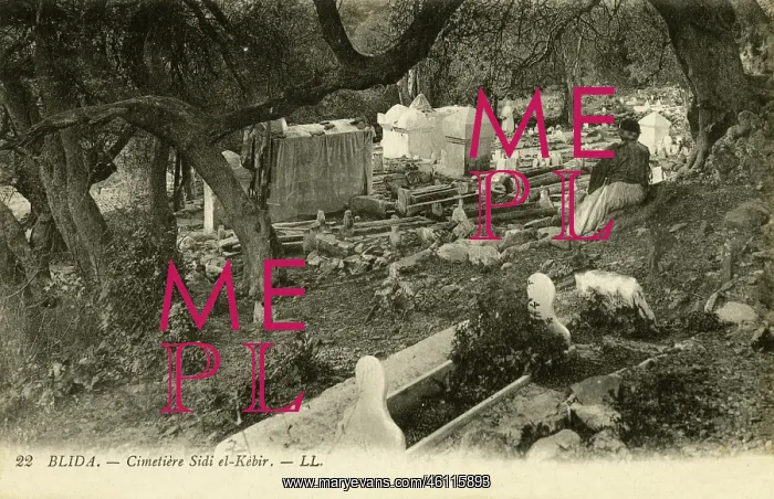 : Blida, Algeria - the cemetery of Sidi el-Kebir : Blida, Algeria - the cemetery of Sidi el-Kebir