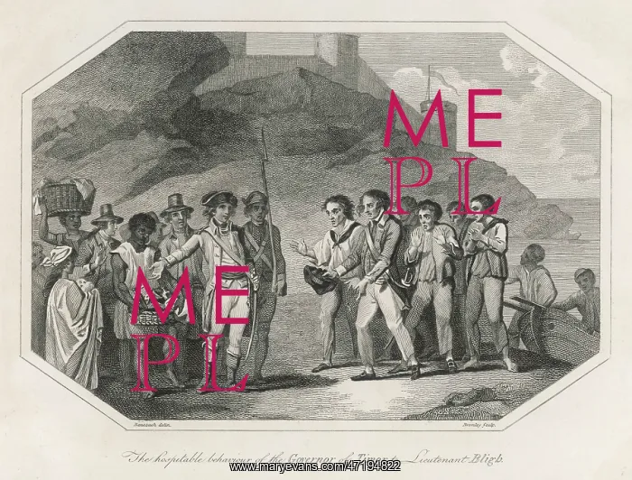: BLIGH REACHES TIMOR : BLIGH REACHES TIMOR