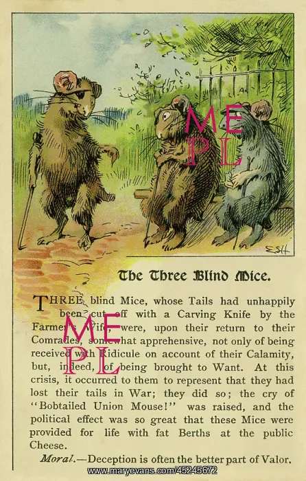 : The three blind mice : The three blind mice
