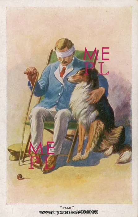  : BLINDED SOLDIER AND DOG