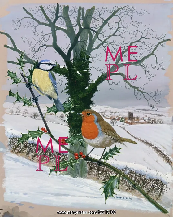 : Bllue Tit and Robin on Holly : Bllue Tit and Robin on Holly