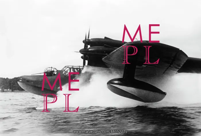 : Blohm & Voss BV 138 flying boat, 1942 : Blohm & Voss BV 138 flying boat, 1942