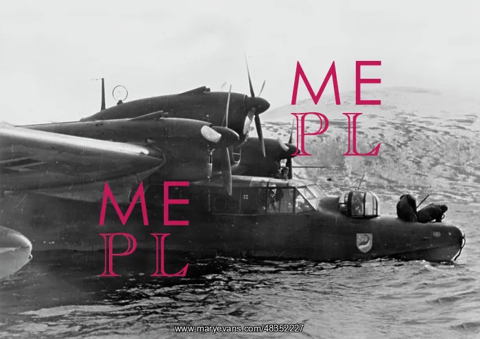 : Blohm & Voss BV 138 flying boat, 1942 : Blohm & Voss BV 138 flying boat, 1942