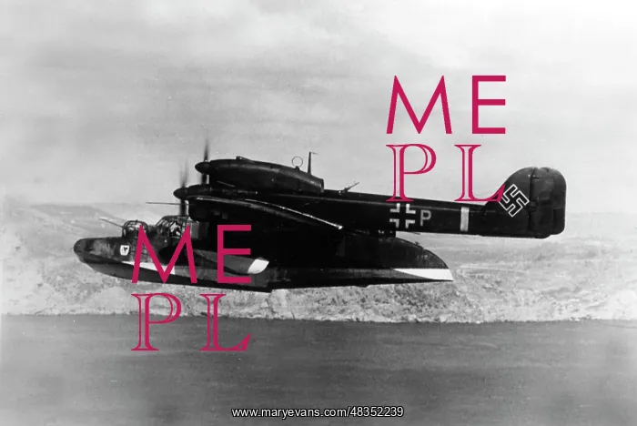 : Blohm & Voss BV 138 flying boat, 1943 : Blohm & Voss BV 138 flying boat, 1943