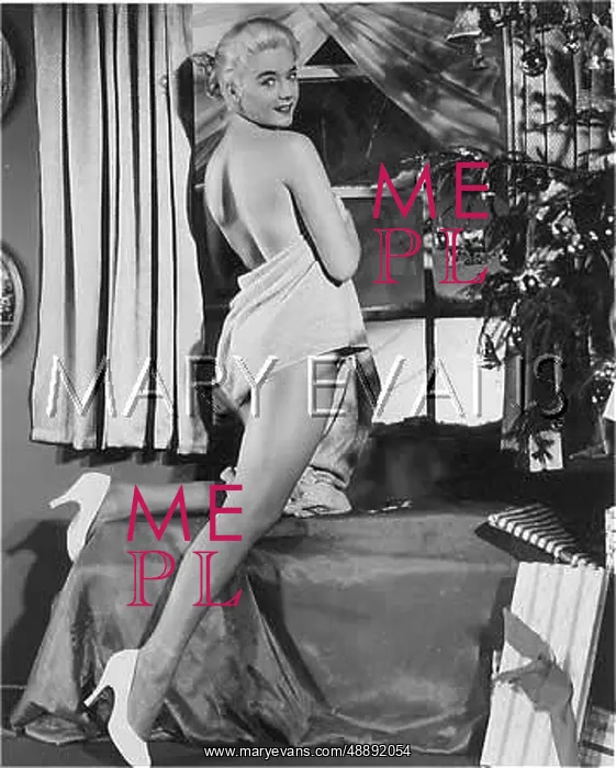 : BLONDE AWAITS SANTA : BLONDE AWAITS SANTA