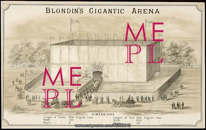 : BLONDIN'S ARENA : BLONDIN'S ARENA