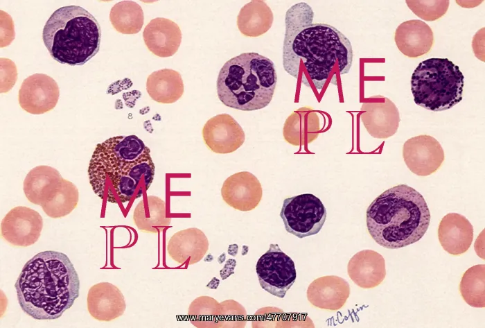 : Blood Components : Blood Components