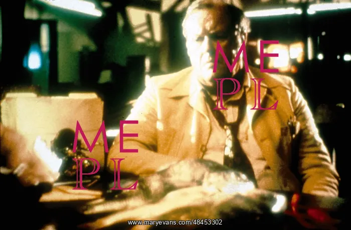 : Blood Simple : Blood Simple