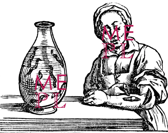 : Bloodletting, Leech Method : Bloodletting, Leech Method
