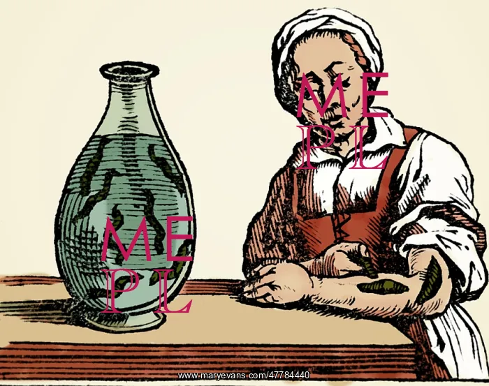 : Bloodletting, Leech Method : Bloodletting, Leech Method