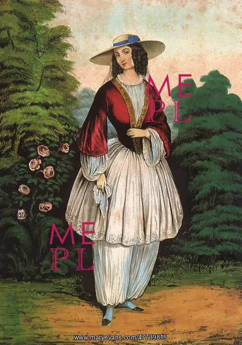  : The Bloomer Costume