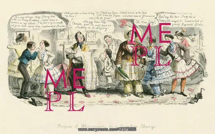 : BLOOMERISM 1852 : BLOOMERISM 1852